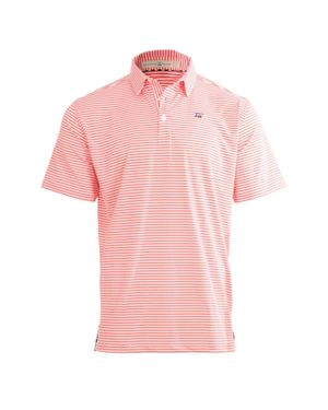 Bald Head Blues Albatross Polo - Pink