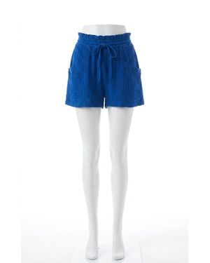Z Supply Emory Short - Blue