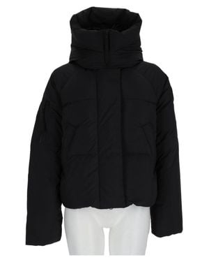 Canada Goose Chilliwack Cropped Down-Filled Polyamide Down Jacket - Black