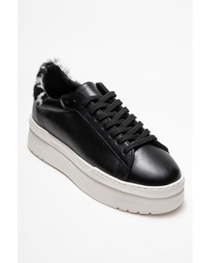 Forever & Always Shoes Anabel Leather Platform Sneakers - Black