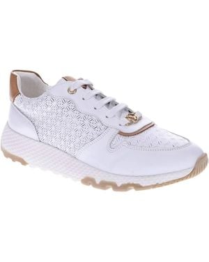 Revere Los Angeles Sneaker - White