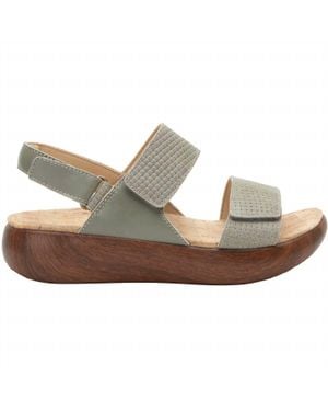 Alegria Bailee Sandal - Gray