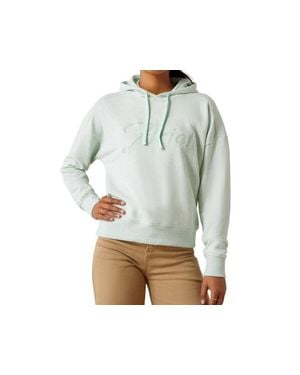 Ariat Just Hoodie - Gray