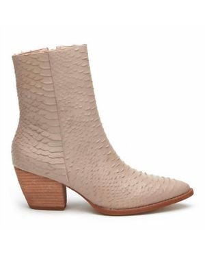 Matisse Caty Snakeskin Ankle Boots - Brown