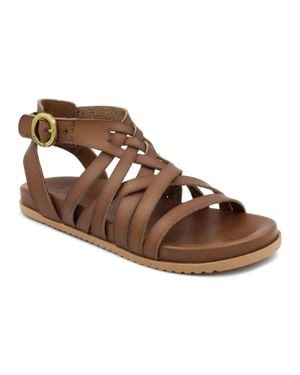 Blowfish Curio Sandals - Brown