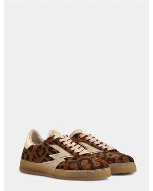 MOA Leopard Double Club - Brown