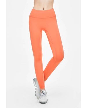 Mulawear Fresa Water Leggings - Orange