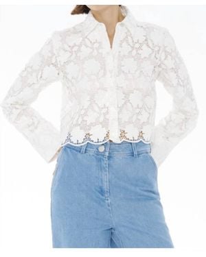 Toccin Beatrix Collared Button Front Top - Blue