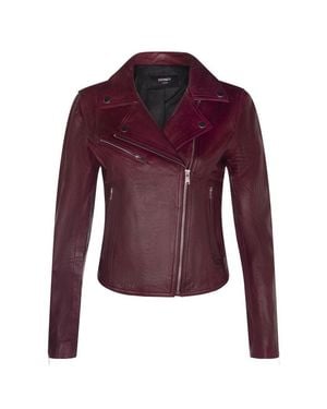 Infinity Leather Classic Brando Biker Jacket-Loughton - Purple