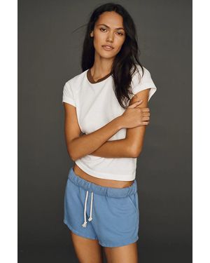 Electric and Rose Bayside Shorts - Gray