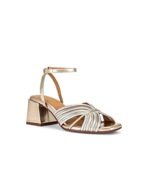 Seychelles Tender Heels - Metallic