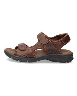 Panama Jack Salton C4 - Brown