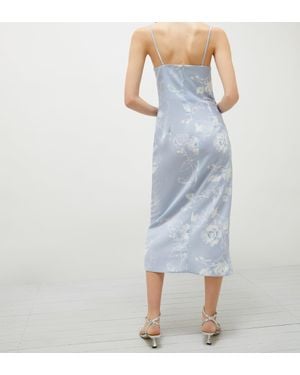 Marella Radix - Blue