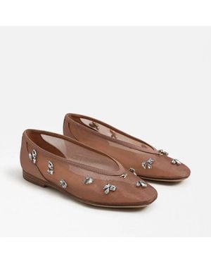 Circus by Sam Edelman Tina Jewel Flat - Brown