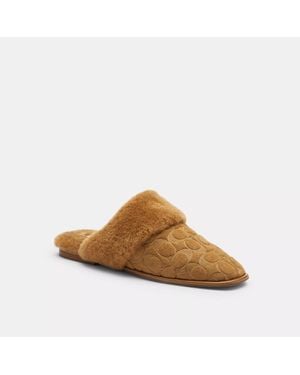 COACH Sherpa Flat Mule - Brown