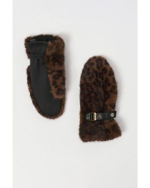 Joseph Ribkoff Leopard Mittens - Black