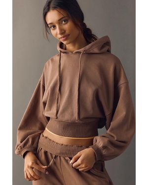 Daily Practice Plie Hoodie - Brown