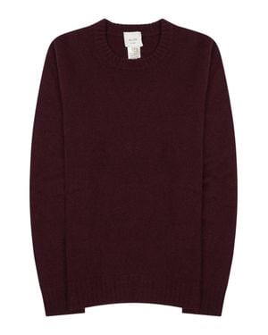 Alysi Merino Wool Cashmere Finely Knit Sweater - Red