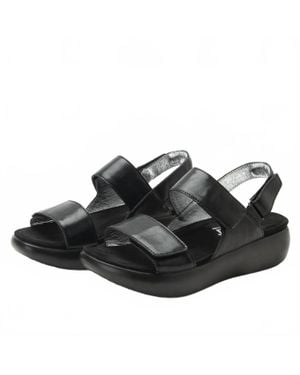 Alegria Bailee Casual Sandals - Black