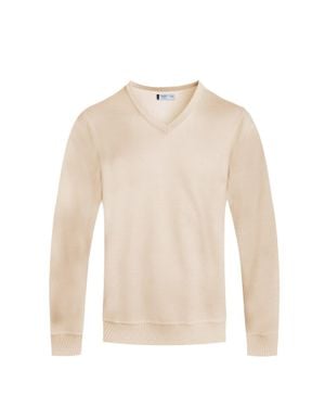 TRUEDAMES Solid V-Neck Sweater - White