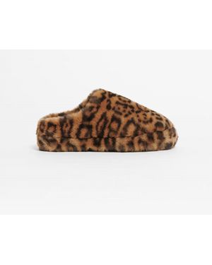 Apparis Misha Mule Slipper - Brown