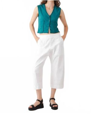 Prairie Underground Metric Cropped Straight Pants - Blue