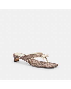 COACH Bow Thong Kitten Heel - Multicolor