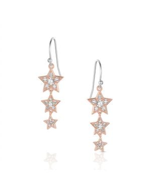 Montana Silversmiths Trio Of Wishes Earrings - Metallic