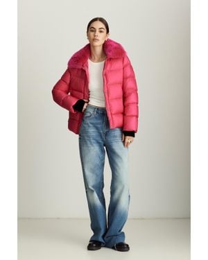 Dawn Levy Vera - Pink