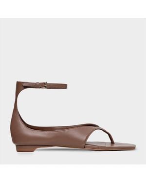 Carrano Thong Bold Leather Sandal - Brown
