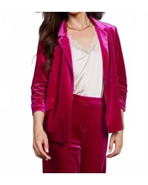 Skies Are Blue Velvet Blazer - Red