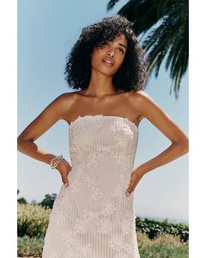 Endless Rose Embroidered Net Dress - Natural