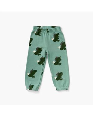 Lewis Boy's Eagle Sweatpants - Green