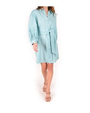 Emily Mccarthy Oxford Dress - Blue