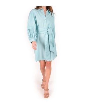 Emily Mccarthy Oxford Dress - Blue