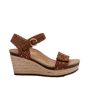 Aetrex Sydney Scotch Cutout Ew772 - Brown