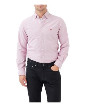 Rodd & Gunn Gunn Oxford Sports Fit Shirt - Purple