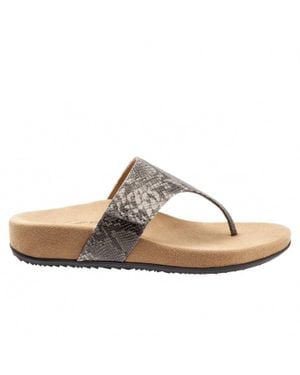 Trotters Petaluma Flip Flops Sandals - Brown