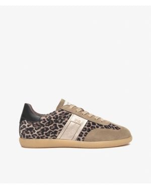 Nero Giardini Low Profile Sneaker - Brown