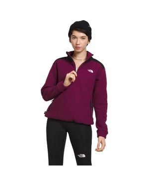 The North Face Alpine Polartec 0 Sweatshirt 1/4 Zip Kfc495 - Purple