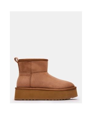 Steve Madden Crue Chestnut - Brown