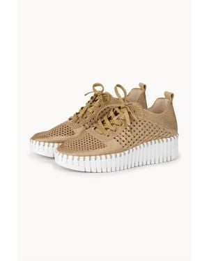 Ilse Jacobsen Tulip 4271 Crochet Wedge Sneaker - Metallic
