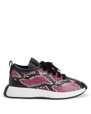 Giuseppe Zanotti Ferox - Pink