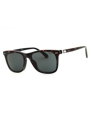 Polo Ralph Lauren Ph4220U Sunglasses - Black