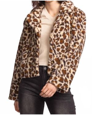 Pink Martini Bethany Coat - Brown