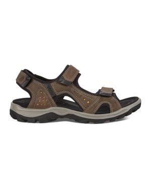 Ecco Offroad Lite Sandal - Brown