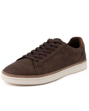 Nautica Lace-Up Sneaker - Brown