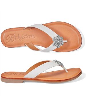 Brighton Aster Flower Embellished Leather Flat Thong Slip On Sandal - Brown