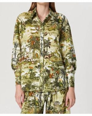 Chufy Sierra Button Down Shirt - Green