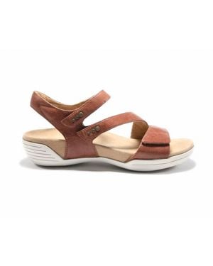 HALSA FOOTWEAR Denia Sandals - Brown